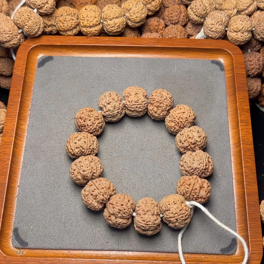 17号尼泊尔大金刚23六瓣五星梅花蜂窝