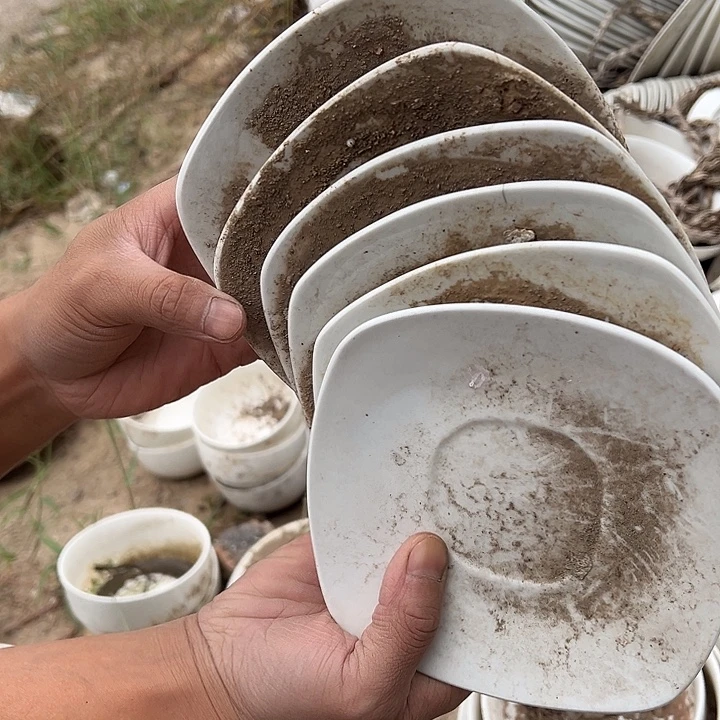 瓷闪购商品粗瓷细瓷盘
