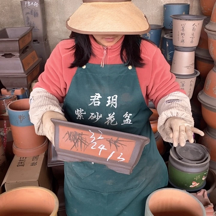 紫砂花盆盆栽花卉苗木种植