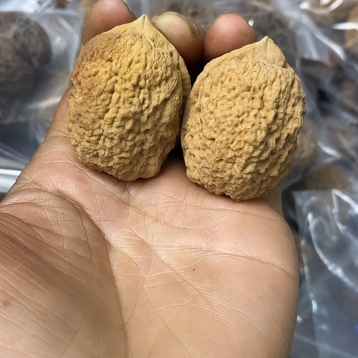 核桃云南铁核桃基地12
