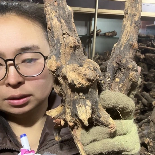 香榧木@**号火琉璃的故事是毛料