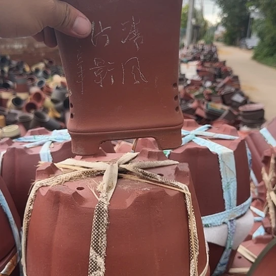 宇宇忐忐忑忑天啊天呀
