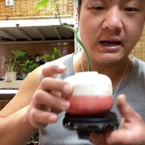 红陶一物一拍所见即所得99