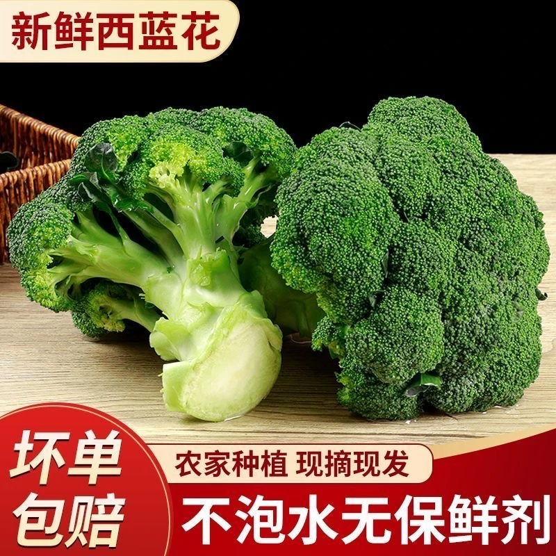 新鲜西兰花青花菜脆嫩菜新鲜摘蔬菜西蓝花时令花菜可做沙拉菜