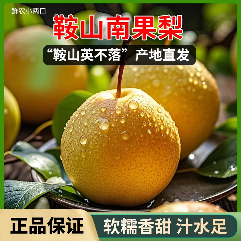 正宗鞍山南果梨 大屯英不落南果梨薄皮细面 软糯香甜5斤包邮S