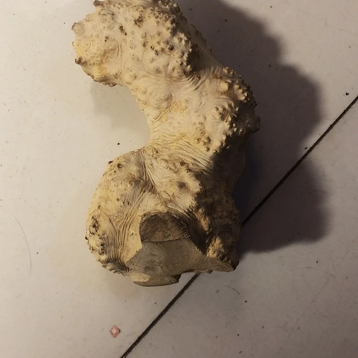 六***哥木木料努力努力努力