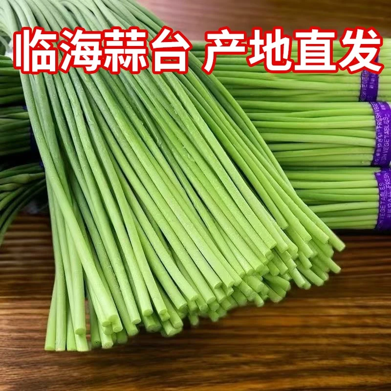 2025年白帽蒜薹绿色蔬菜中支临海青龙蒜苔产地直发清脆爽口.蓝