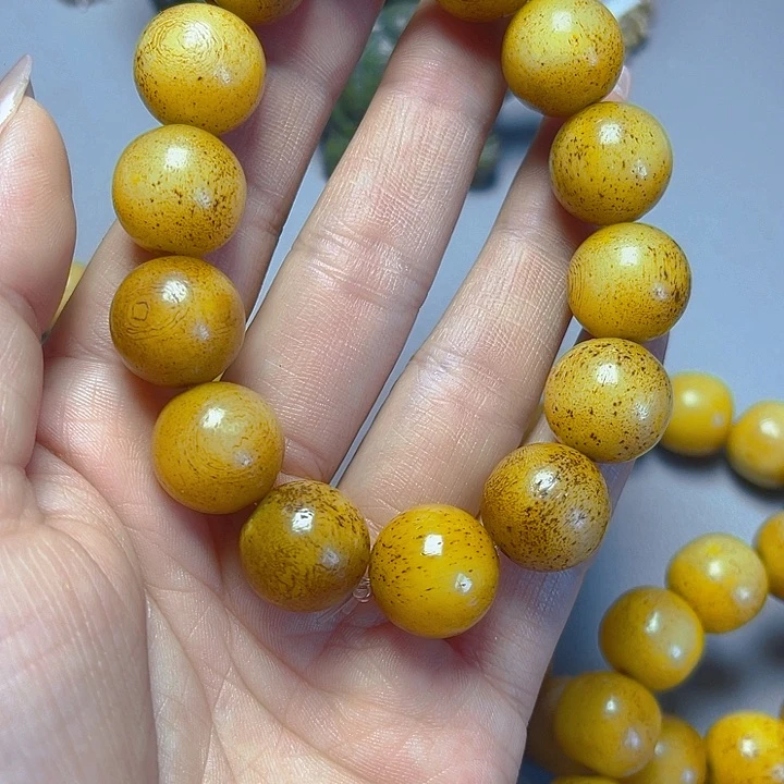 大果紫檀（缅甸花梨）