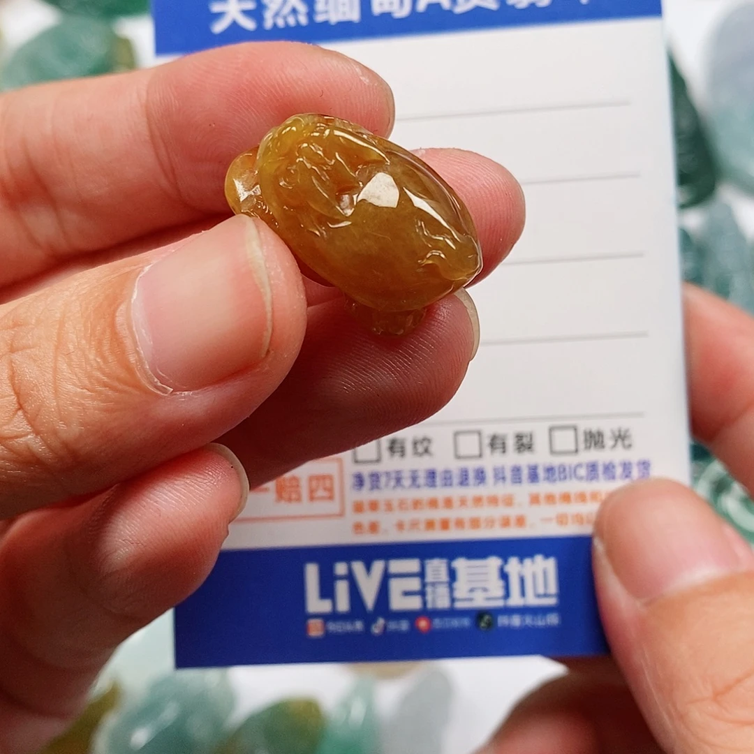 颈饰未镶嵌翡翠龙龟