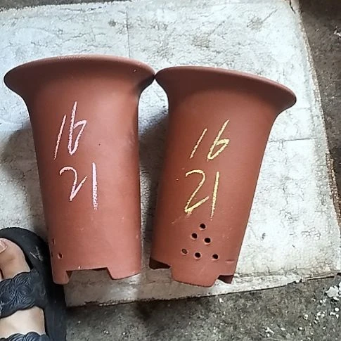 小红兰花两个微瑕