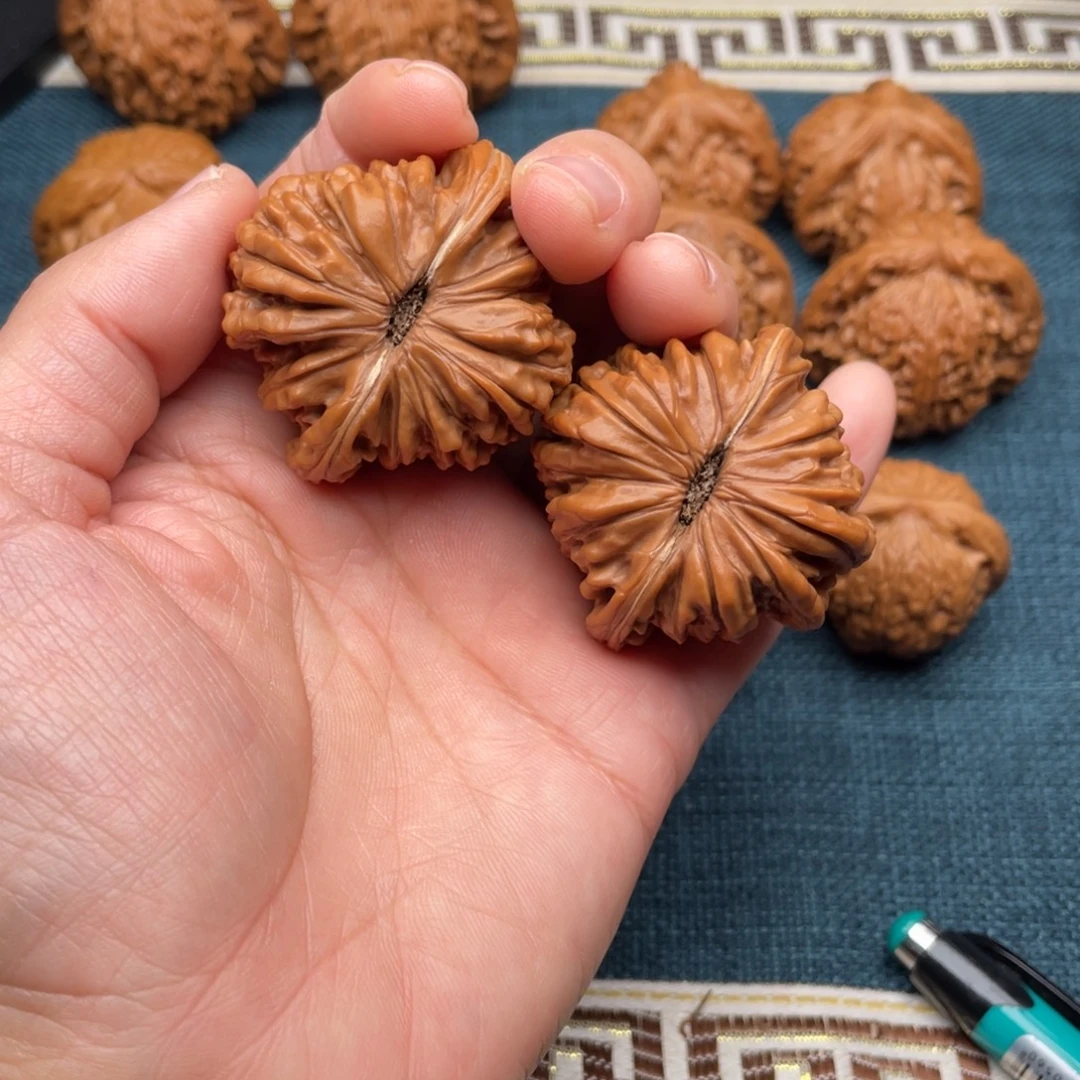 文玩核桃把件44全品红皮老树山地楼大菊花