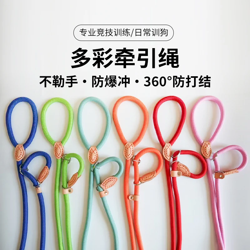 彩色P链P绳牵引绳项圈一体式项圈结实耐用防爆冲可以调节大小通用