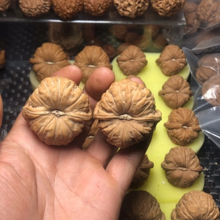 奇****大叶紫檀（黑酸枝木类）