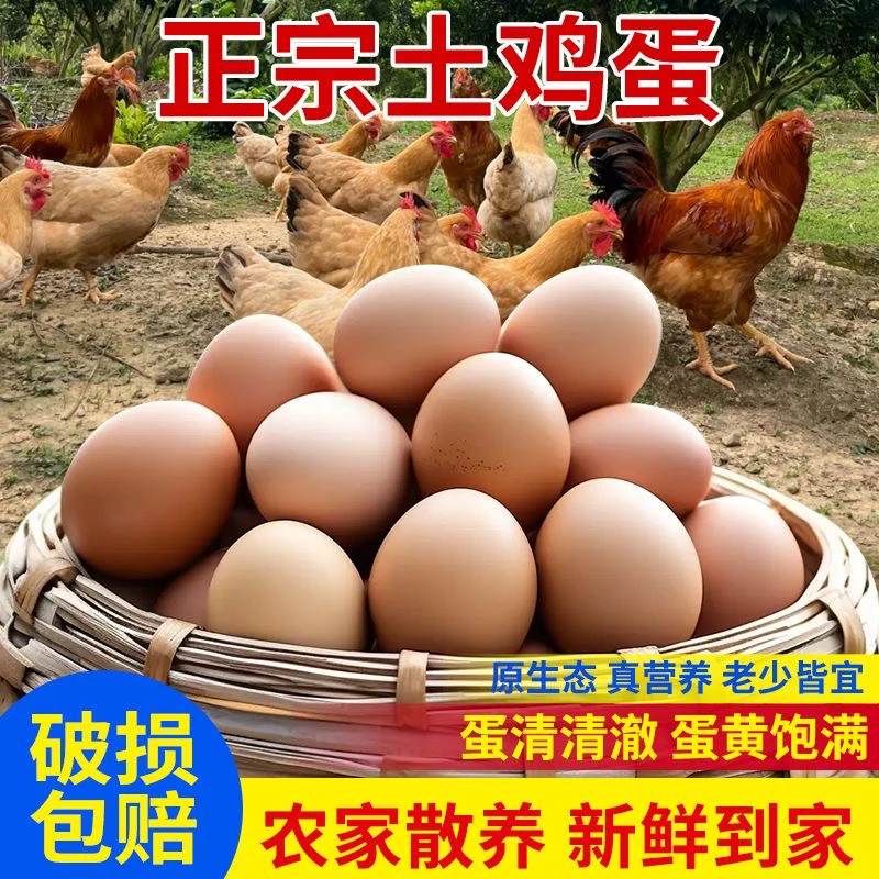 山林散养土鸡蛋新鲜现捡现发营养健康谷物喂养