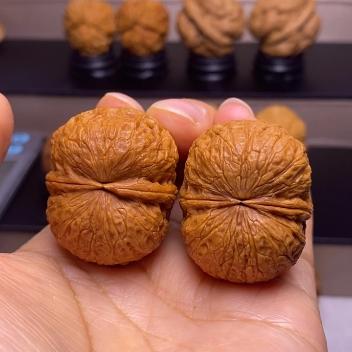 文玩核桃把件鹦鹉元老24