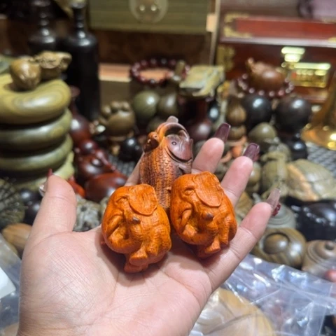 东非黑黄檀（紫光檀）食*