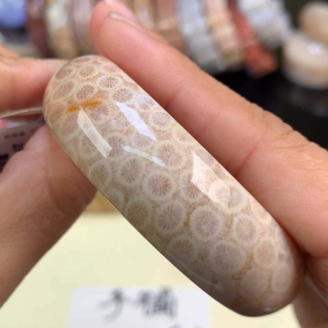 【闪购商品】颈饰未镶嵌硅化珊瑚（珊瑚玉）81号精美手镯53圈