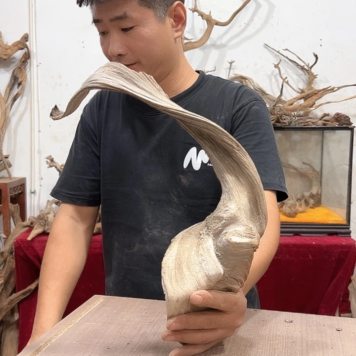 柏木崖***工我们都是好孩子呀我也是