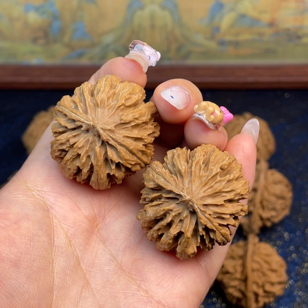 核桃1号链接11111