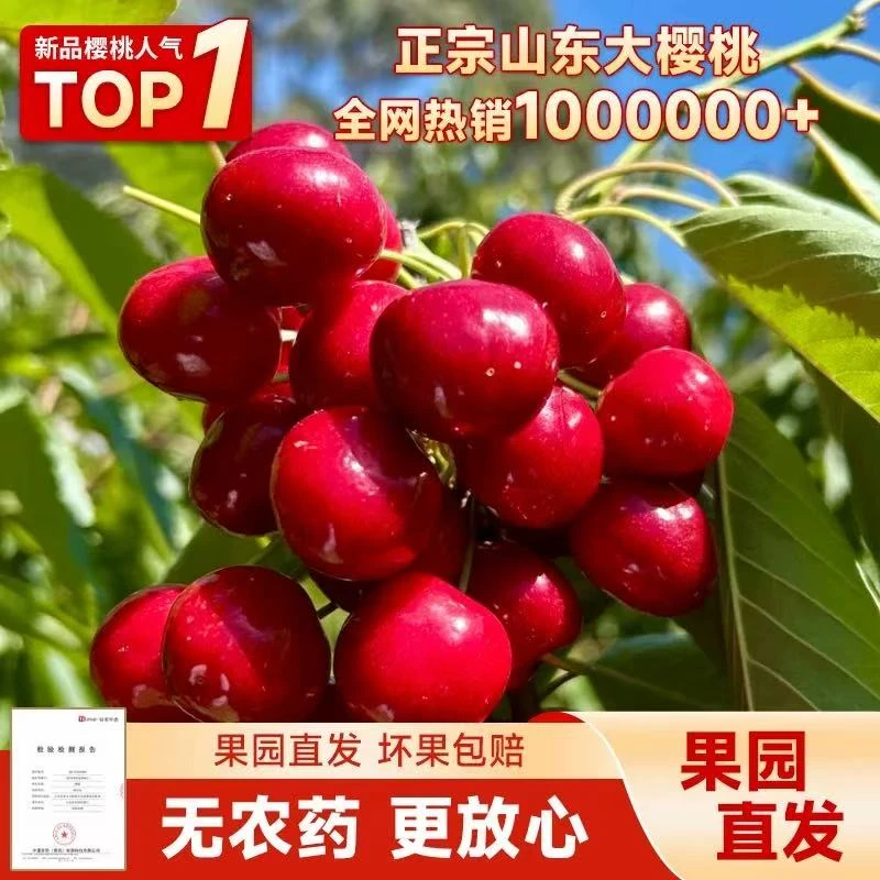 专属山东露天大樱桃买3斤送2斤新鲜现摘现发京东顺丰
