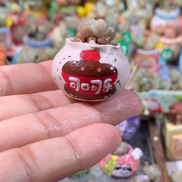 盆内口2  不带肉