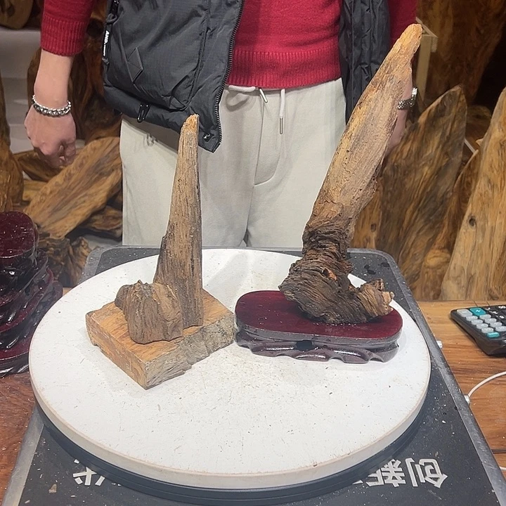 松木（琥珀木）光**错