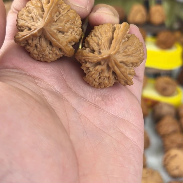 文玩核桃吊坠33尺全品无修盘龙虎头正奔