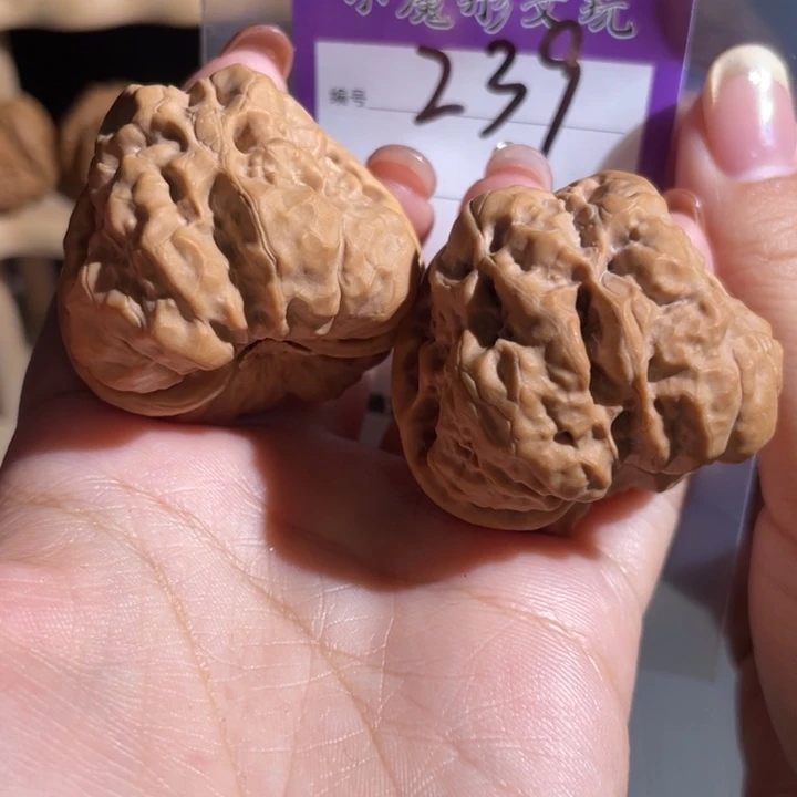 239号 蛤蟆头 4222