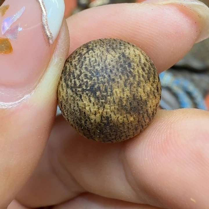 大叶紫檀（黑酸枝木类）