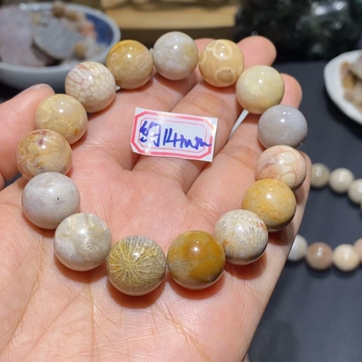 【闪购商品】未镶嵌珊瑚玉硅化玉