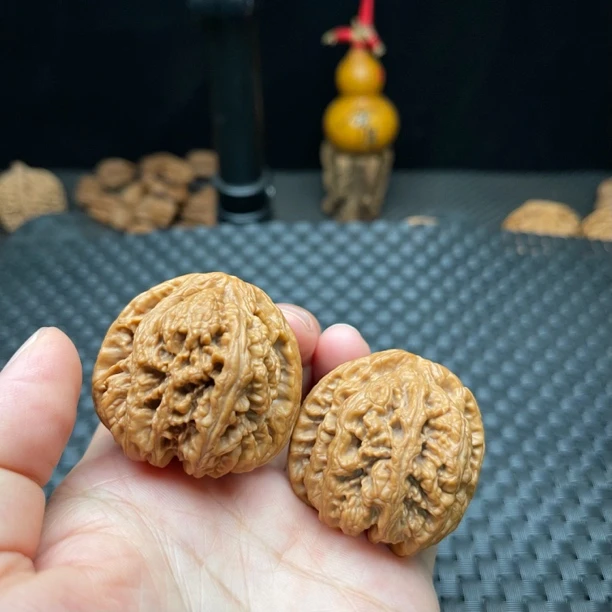 大粗筋，纹路狂野霸气，中高桩，配对规整，边肚高42/42/38