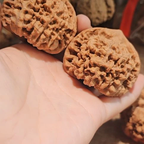 相***约文玩核桃吊坠51龙鼎管帽