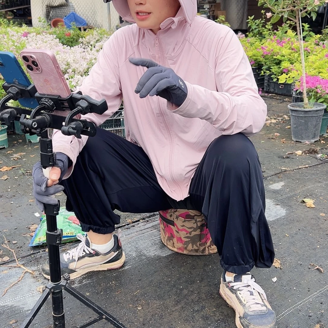 完全开放钵钵鸡5元一棵