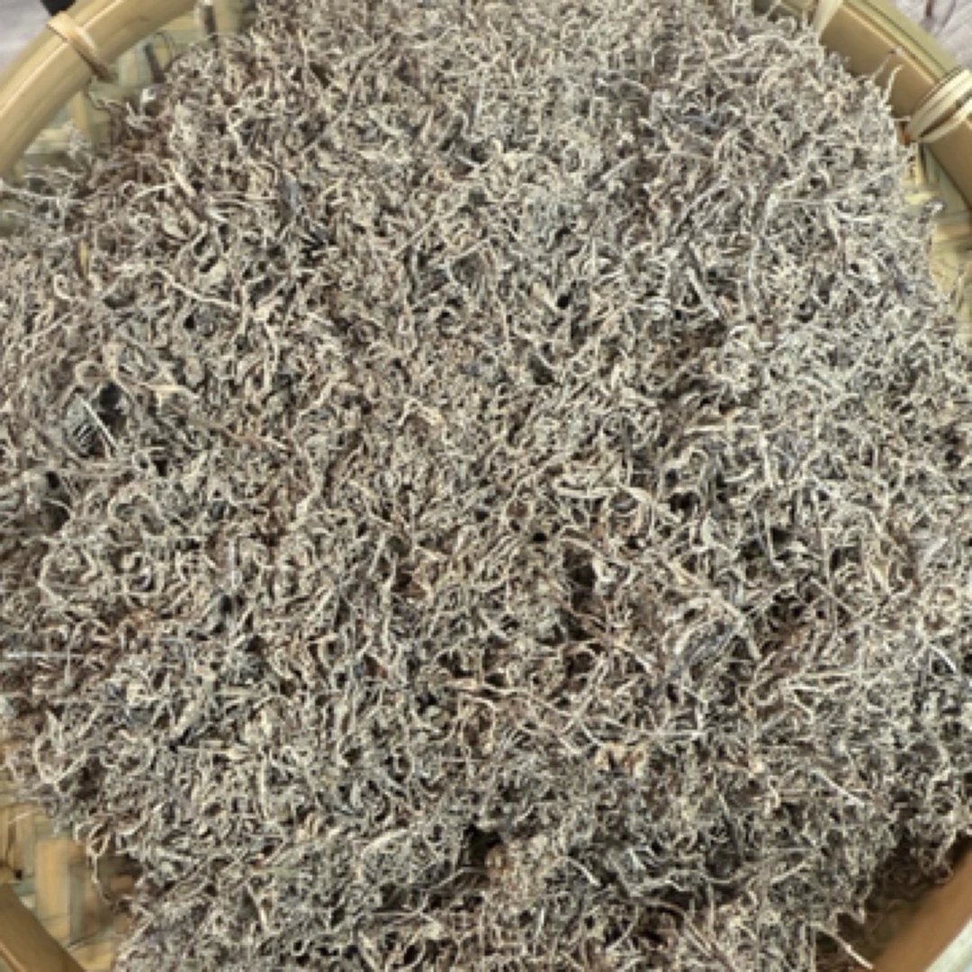 【李支书精选】高山农家藤茶嫩芽茶精品