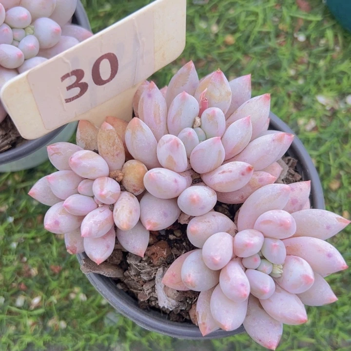 健健康康平平安安