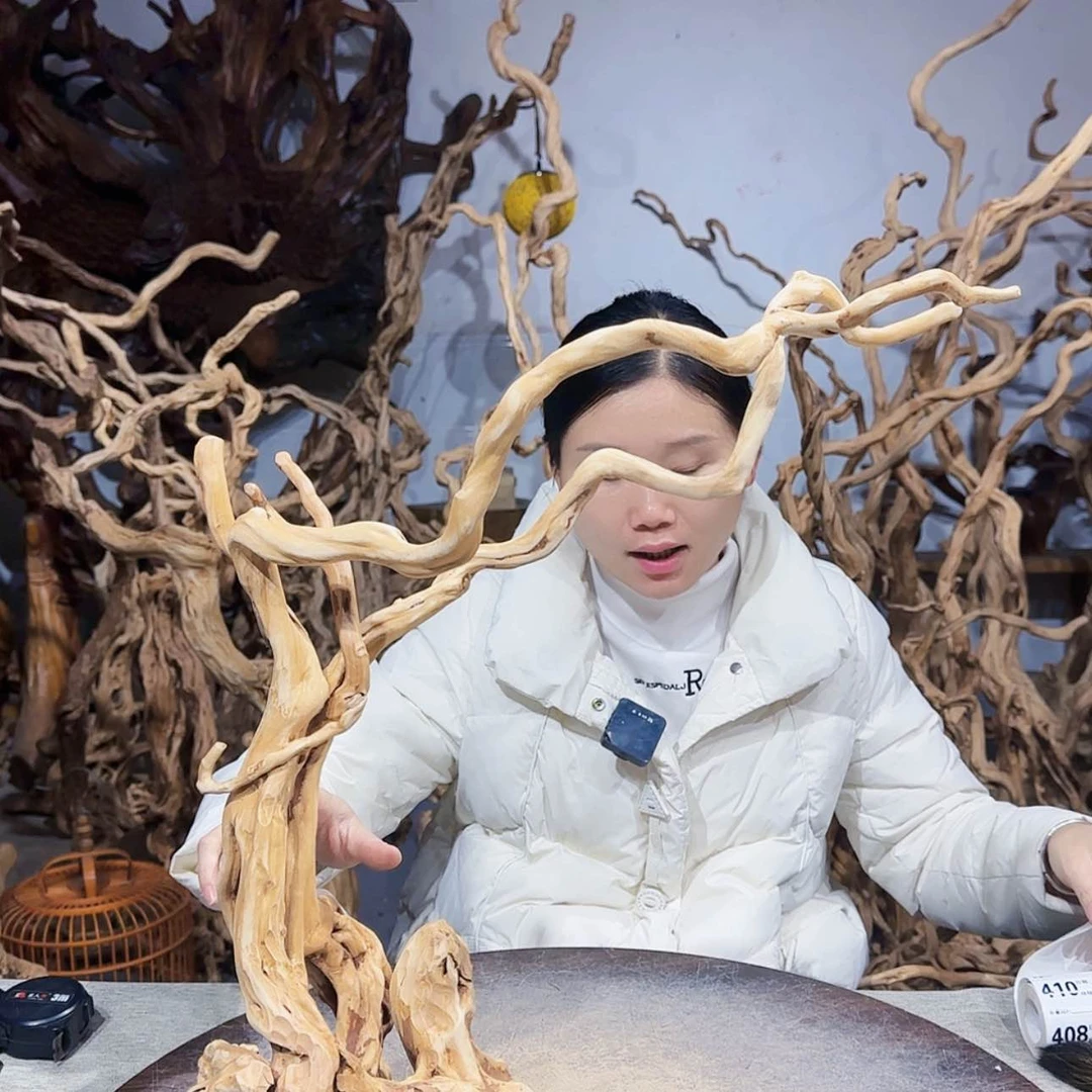 【闪购商品】核桃木/黑胡桃（胡桃木）科*