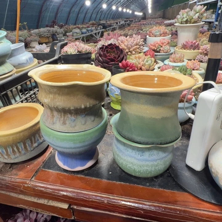 特价花盆满50发货4个
