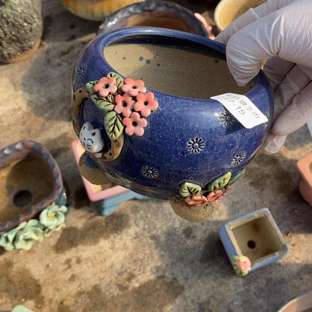 红陶卡*15号多肉盆一个呀