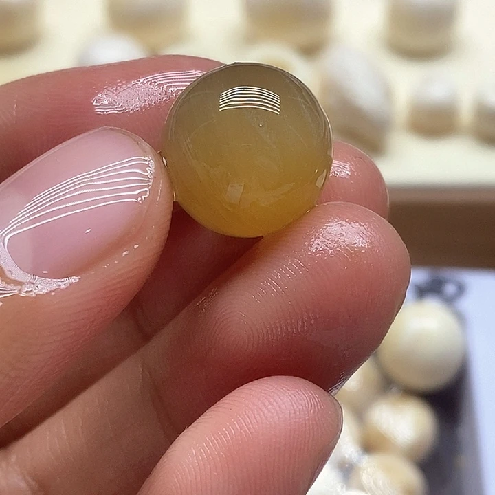 贝壳手串/手链社会牛14牛角朱子