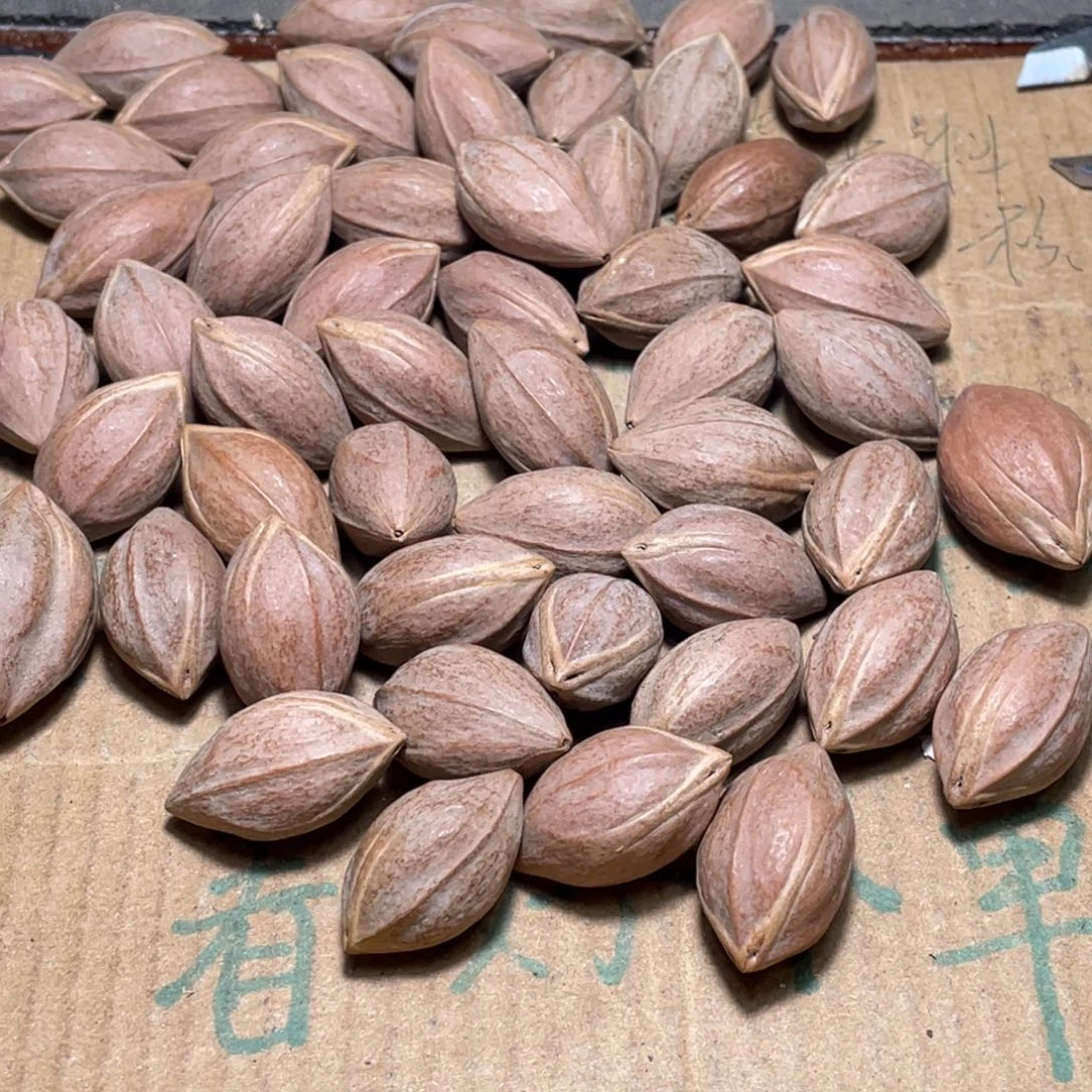 峡***哥橄榄核吊坠不退不换qwrgj