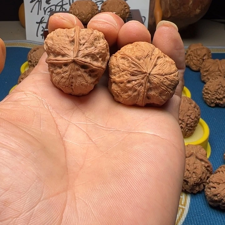 核桃人丁兴旺云铁三棱