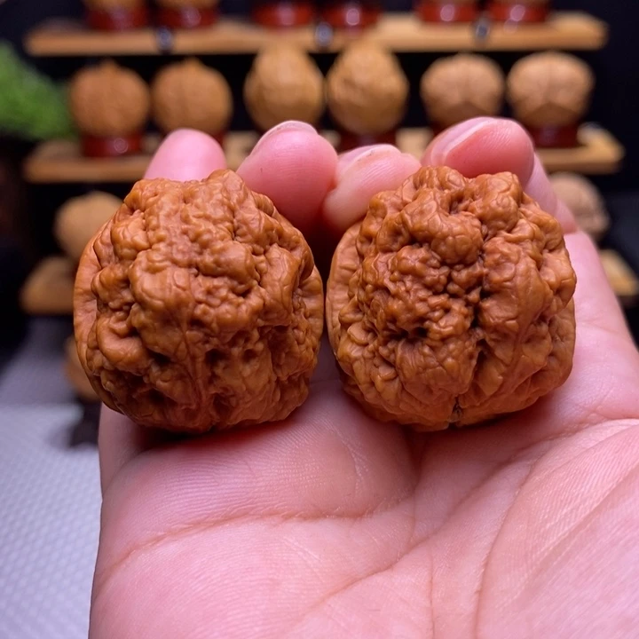 核桃云铁血舍利4号
