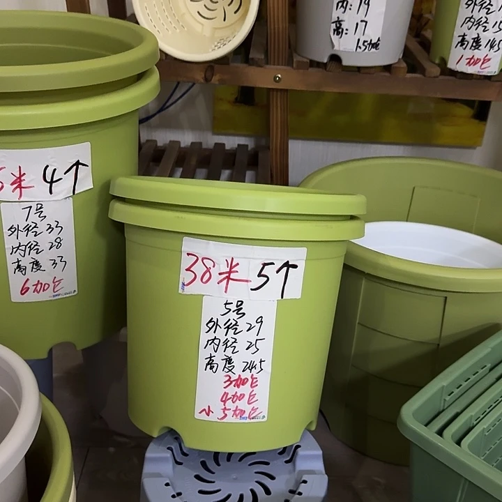 果绿色5号口径29无托5个