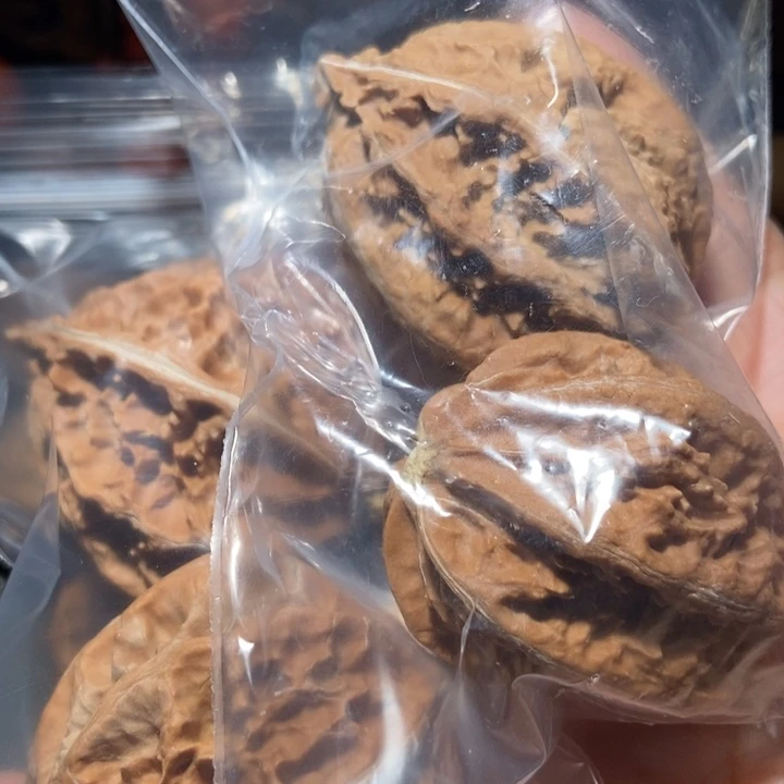 把件文玩核桃聚**道东北楸子小雪15