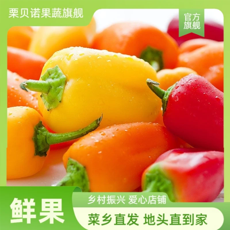 寿光新鲜小彩椒七彩椒五彩椒迷你甜椒沙拉蔬菜椒生吃水果椒小辣椒