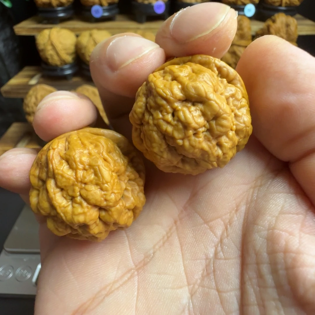 文玩核桃把件5号血舍利33尺
