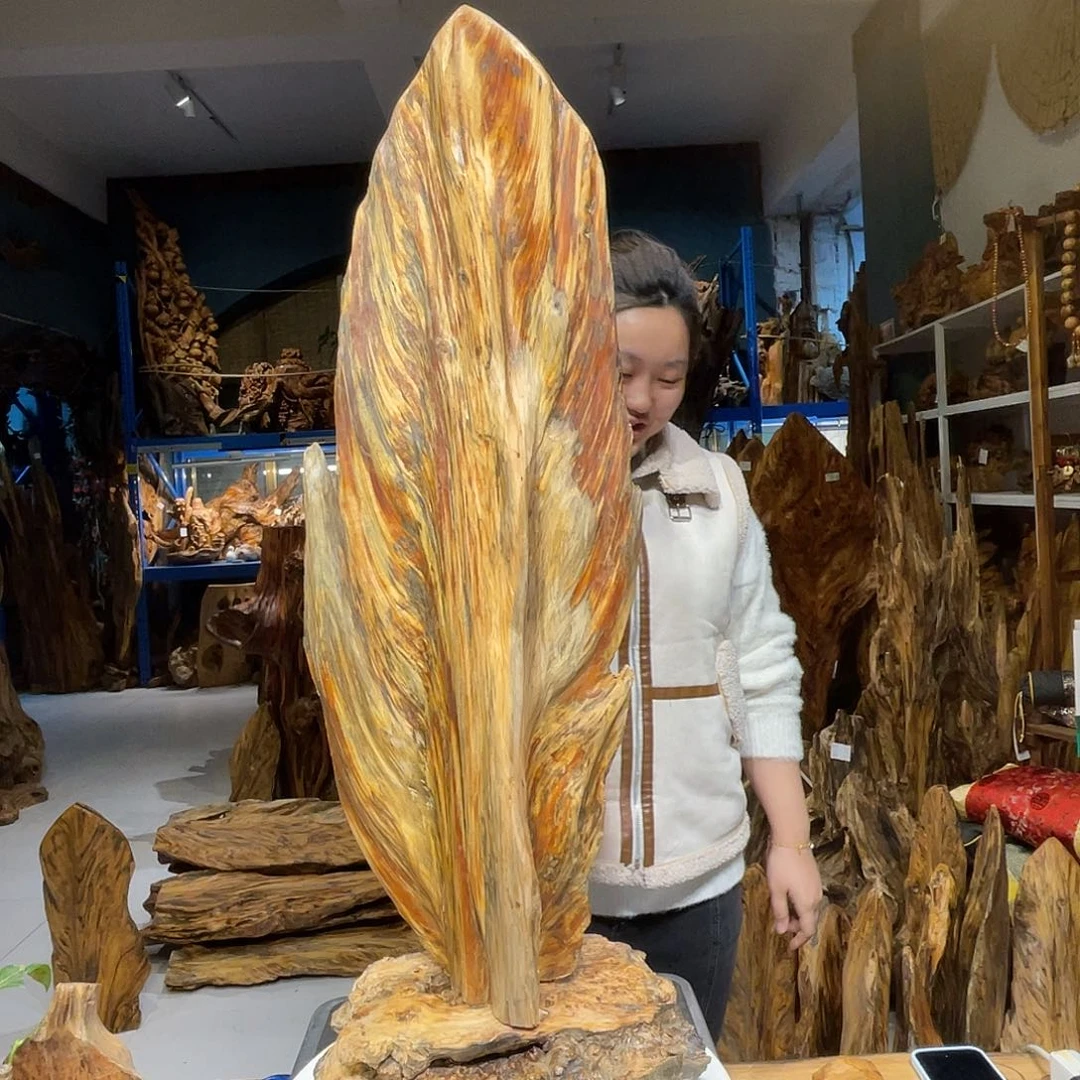 多***多松木（琥珀木）琥珀木