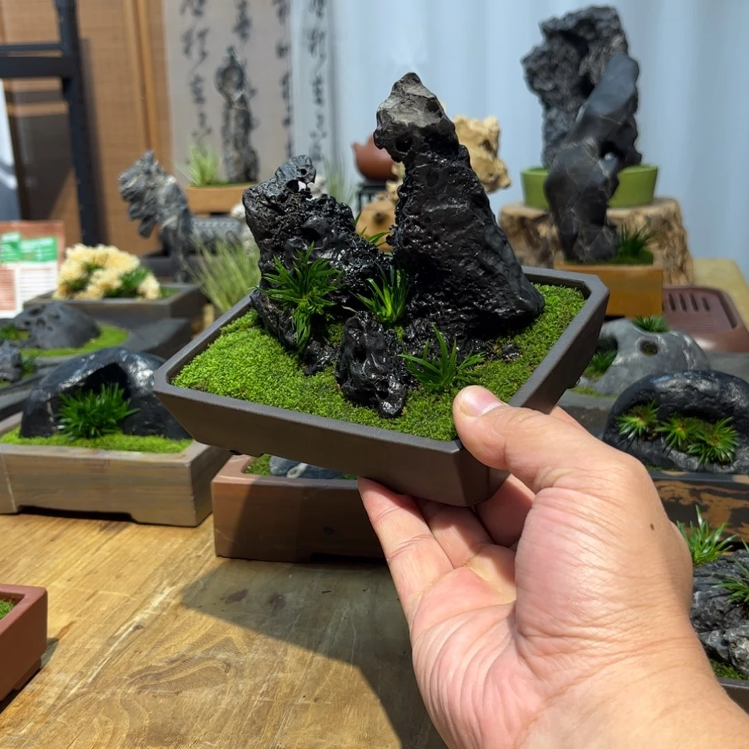 感***见紫砂花盆➕附石菖蒲