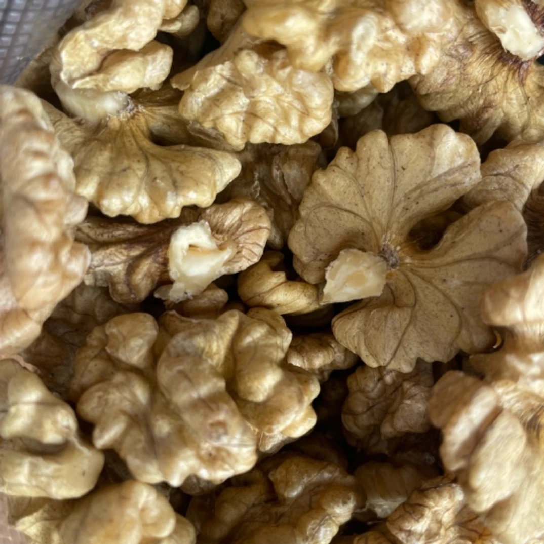 云南哀牢山核桃油拍核桃打核桃油