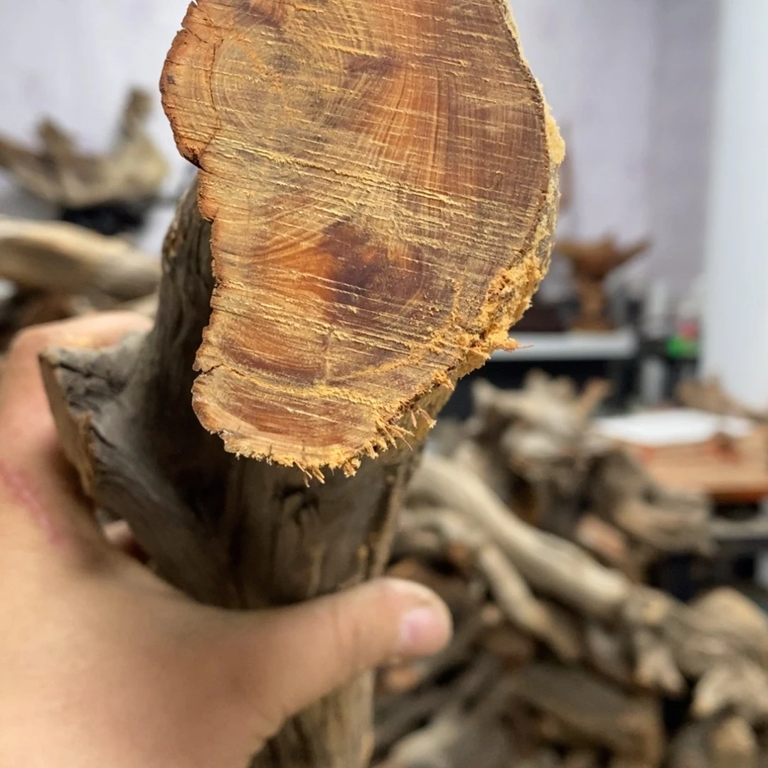 柏木人***，我们都是好孩子